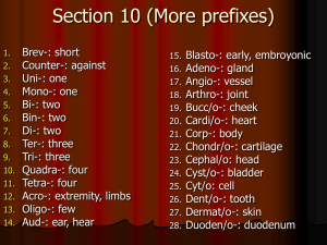 Section 10 (More prefixes)