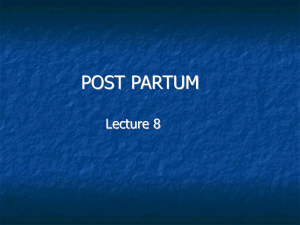 The Post Partum Period