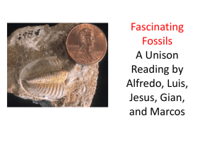 Fascinating Fossils A Unison Reading by Alfredo, Luis, Jesus, Gian