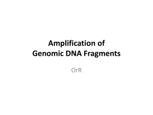 Selective Amplification of Genomic DNA Fragments