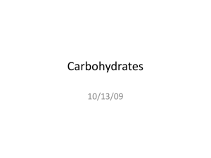 Carbohydrates - Fort Thomas Independent Schools