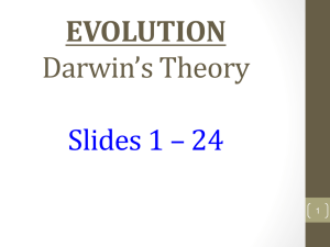 Evolution Slides