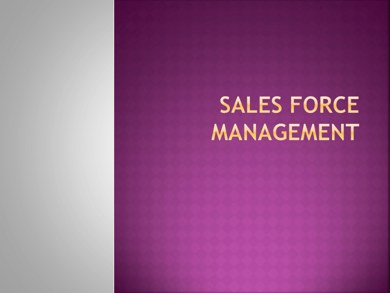 sales-force-wordpress