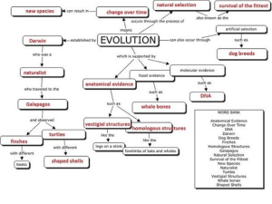 Evolution - wuerthapbiology