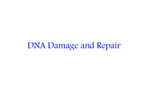 DNA Damage and Repair