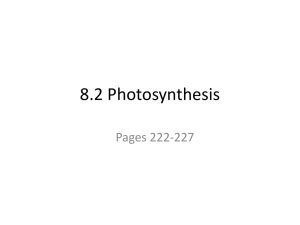 Week 14 8 2 Photosynthesis Honors