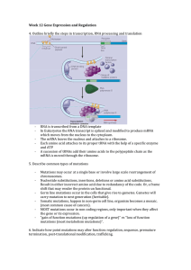 Week 12 LO Gene Expression and Regulation - PBL-J-2015