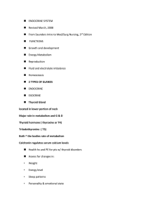 ENDOCRINE SYSTEM Revised March, 2008 From Saunders Intro to