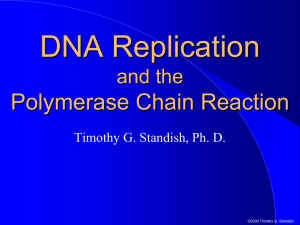 DNA Replication_PCR