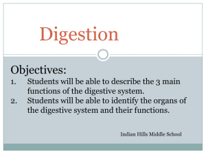 Digestion - Indian Hills Middle School Health