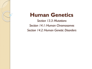 Human Genetics PowerPoint