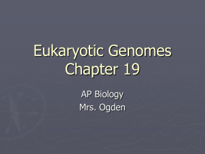Eukaryotic Genomes Chapter 19
