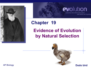 APBIO-19-EVOL-Foglia-Evolution Evidence 2006 with Questions