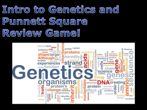 Intro Genetics and Punnett Square Review Game
