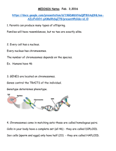 Meiosis Notes for Students