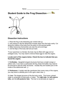 Student Guide to the Frog Dissection