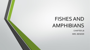FISHES AND AMPHIBIANS
