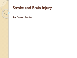 Stroke and Brain Injury - Weber State University