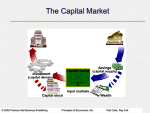 Chapter 10: Input Demand: The Capital Market and the Investment