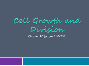 Cell Growth and Division