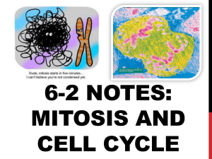 Notes: Mitosis and Cell Cycle