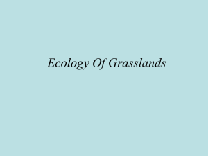 GrasslandsSlides