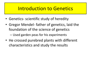 ch 6 intro to genetics