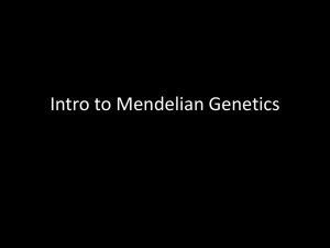 Intro to Mendelian Genetics