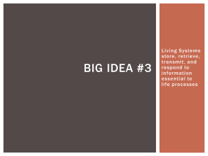 Big Idea #3