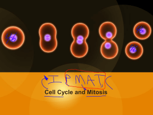 6.2 CELL CYCLE and MITOSIS NOTES