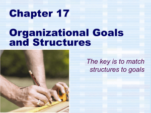 Chapter 17 Organizational Goals and Structures