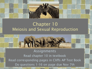Mader 11 ch 10 Meiosis and Sexual Reproduction