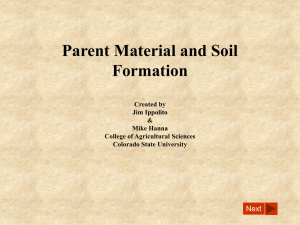 ParentMaterialandSoilFormation