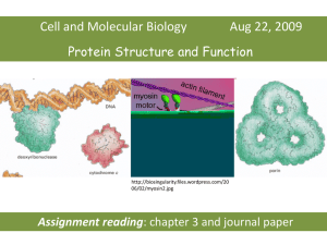 Protein Function