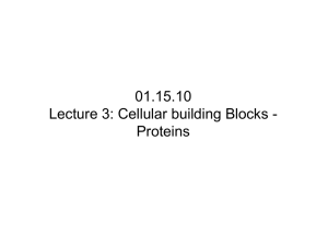Lecture 3: Cellular Building Blocks