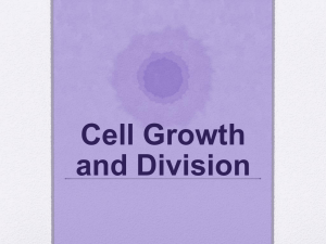 CB-Cell Growth & Division