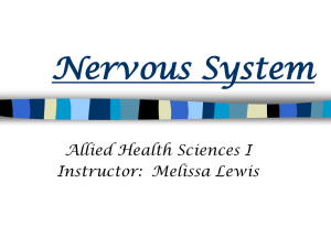 The Autonomic Nervous System