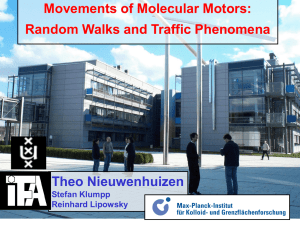 Random Walks of Molecular Motors