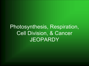 Photosynthesis, Respiration, Cell Division, & Cancer