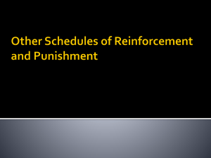 Other Schedules of Reinforcement and Punishment