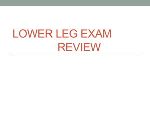 Exam 2 review - Lower leg - Doral Academy Preparatory