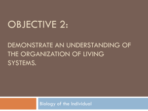 Objective 2: demonstrate an understanding of the organization of