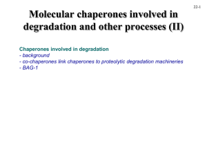 Molecular chaperones involved in degradation and other processes