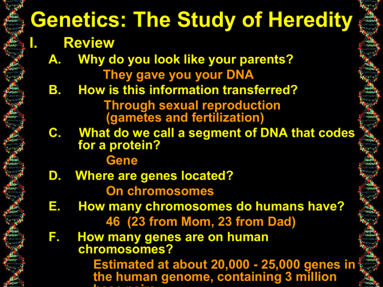 cb-genetics