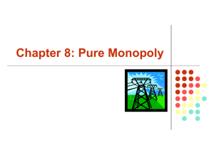 Chapter 8: Pure Monopoly
