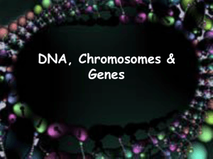 DNA, Chromosomes & Genes - Science