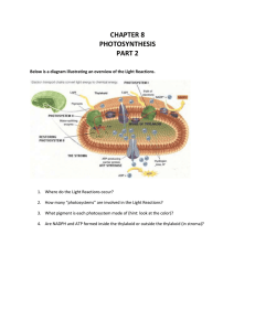 Unit 5 Cellular Energetics Chp 8 Photosynthesis Module 2