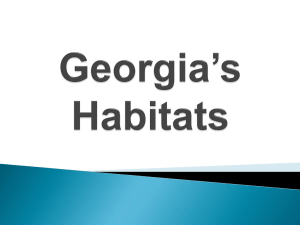Georgia Regions and Habitats