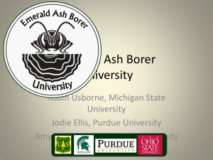 EAB-U: Emerald Ash Borer University