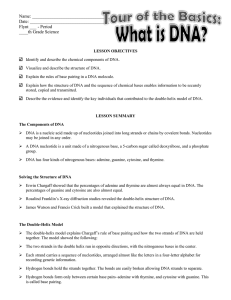 What is DNA? - My Teacher Pages
